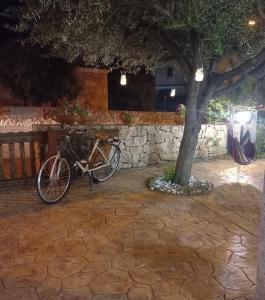波萨达Affittacamere b&b Il FIORE的夜间停在树旁的自行车