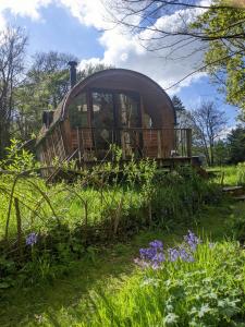 卡纳芬Caban Delor. Off-grid glamping experience. Walking distance into Caernarfon. 20-min drive to Snowdonia or Anglesey.的坐在田野轨道上的老火车