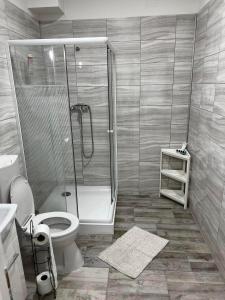 布达佩斯Milan Apartman的带淋浴、卫生间和盥洗盆的浴室