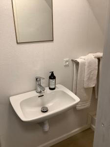 斯泰厄Apothekergaarden Stege B&B的浴室设有白色水槽和镜子