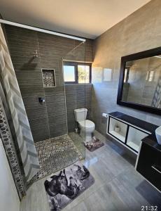 卢萨卡Chuumba Villas的带淋浴、卫生间和盥洗盆的浴室