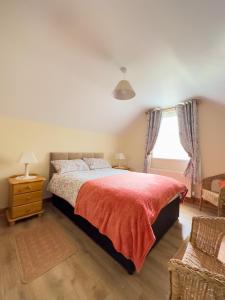 巴利卡斯尔Clare Forest Apartment的一间卧室设有一张大床和一个窗户。