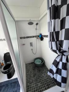 马埃堡Le Manguier的带淋浴和卫生间的小浴室