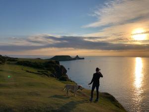 斯旺西Ger Tŷ的站在水边悬崖上的女人和狗
