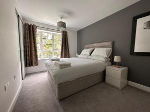法恩伯勒Luxury Apartments - Wallis Square, Farnborough的一间卧室设有一张大床和一个窗户。