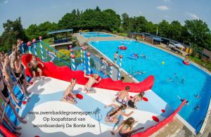 Den HamUnieke Twentse boerderij - 4 bedrooms & huge private garden的一群人在水上公园的游泳池里