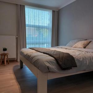 聚滕达尔Vakantiewoning De Papendaler的一间卧室设有一张大床和大窗户