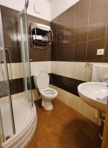 班斯卡 - 什佳夫尼察Chata Gatterhof的一间带卫生间和水槽的浴室