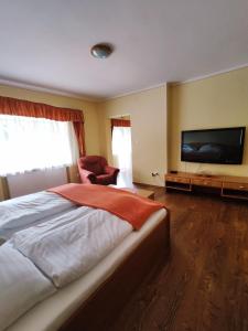 班斯卡 - 什佳夫尼察Chata Gatterhof的一间卧室配有一张大床和一台平面电视