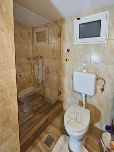Căpăţîneni-PămînteniWHITE HOUSE, Vidraru的一间带卫生间和淋浴的浴室以及一台电视。