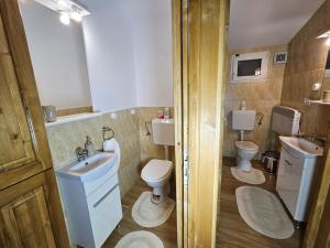 Căpăţîneni-PămînteniWHITE HOUSE, Vidraru的小型浴室设有2个卫生间和水槽
