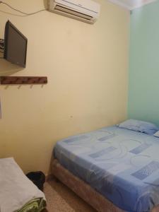 圣达菲Hotel Hostal Caballito Blanco的卧室配有一张床,墙上配有电视。