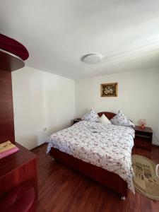 阿加皮亚Pensiunea Casa Ana的一间卧室配有一张带花卉床罩的床
