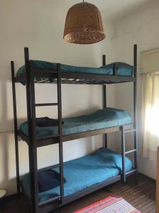 康考迪亚El Bicho Negro Hostel的客房设有三张双层床,配有蓝色床单