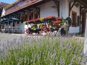 LibuňPenzion Restaurace u Helferů的满布鲜花的马车,在建筑物前