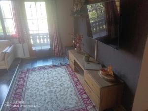 克洛斯特斯瑟纽斯Haldi Apartment的一间带电视和地毯的客厅