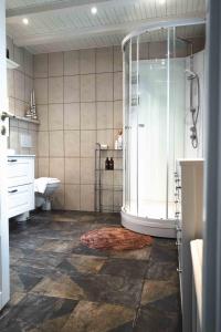 雷讷Lofoten Villa的带淋浴和卫生间的浴室