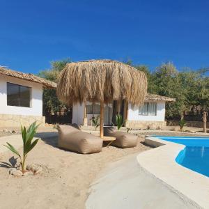 维加伊托Oasis de Vichayito的一个带草屋和游泳池的度假村