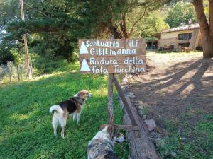 Santuario di GibilmannaAgriturismo Bosco Pianetti的两只狗站在田野的标志旁