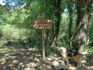 Santuario di GibilmannaAgriturismo Bosco Pianetti的林中的一个标志旁边一只狗