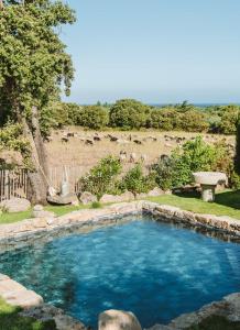 阿尔加约拉Residence CASE DI PI GNA, deux magnifiques villas indépendantes avec piscines individuelles , proches de la plage d'Algajola的一个带围栏的院子内的游泳池