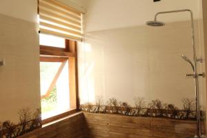 康提Kandy Lotus House的带淋浴的浴室和窗户