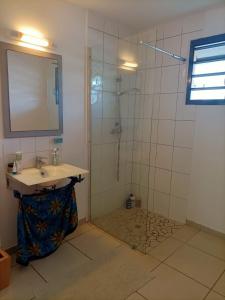 卡宴Beau T3 proche plage secteur Montabo à Cayenne的带淋浴、盥洗盆和镜子的浴室