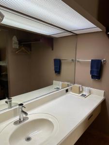哈灵根Lone Star Inn & Suites的一间带水槽和大镜子的浴室