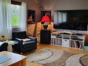 SpildraHoliday home Reinfjord的客厅配有大屏幕平面电视