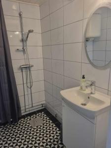 TvååkerRönnås的浴室配有盥洗盆和带镜子的淋浴