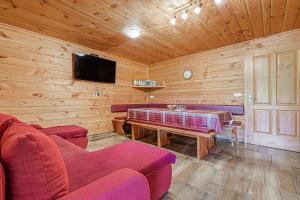 罗加斯卡斯拉提纳Ranch Stojnšek House With Sauna - Happy Rentals的带沙发、桌子和电视的客厅