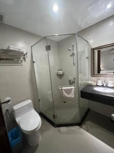 胡志明市Galaxy Airport Hotel的带淋浴、卫生间和盥洗盆的浴室