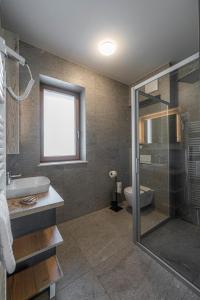 布莱德Veldes B&B的带淋浴、盥洗盆和卫生间的浴室