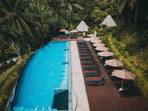 奥南海滩Aonang Fiore Resort - SHA Extra Plus的游泳池旁的游泳池配有椅子和遮阳伞