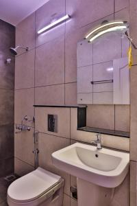 特里凡得琅IVY RESIDENCY的一间带水槽、卫生间和镜子的浴室