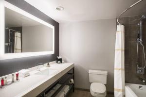 芝加哥芝加哥医疗区/ UIC万豪酒店的一间带水槽、卫生间和镜子的浴室