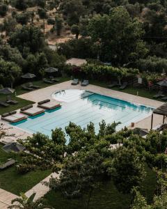 圣加利尼The Maxine Hotel Adults Only的享有带椅子和树木的游泳池的顶部景致