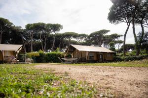 奥斯蒂亚·安提卡Glamping Rome的树田里的几个帐篷