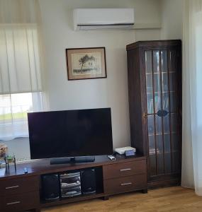 塔尔图Kastani Home的木质娱乐中心设有带平面电视的客厅。