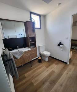 佩罗勒appartement 40 m 2的一间带水槽和卫生间的浴室