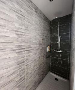 佩罗勒appartement 40 m 2的一间带淋浴的浴室和瓷砖墙