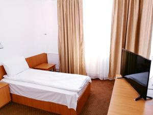 百乐费利克斯Hotel Muncel Băile Felix的配有一张床和一台平面电视的酒店客房