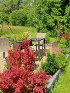 下乌斯奇基Domek Limba的一座带桌子和多彩鲜花的花园