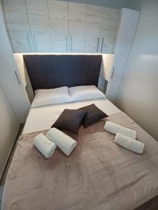 德拉格CHARTA Mobile Home Meon的小房间的一个床位,上面有两个枕头