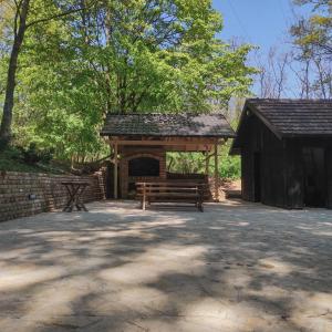 Velika RemetaRent a Forest, Cabin Hidden in the Fruška gora的公园里的野餐棚和长凳