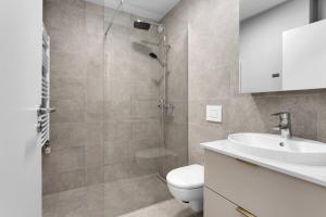 雷克雅未克Central Studio Apartment的带淋浴、卫生间和盥洗盆的浴室
