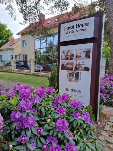 帕兰加Guest House & Villa Astoma的紫色花房前的标志