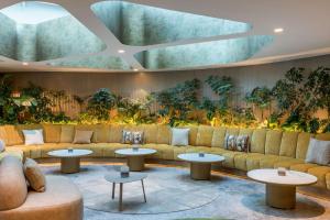 墨西哥城Andaz Mexico City Condesa - A Concept by Hyatt的大堂配有沙发、桌子和植物