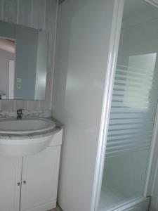 Jaujaccamping bonneval的白色的浴室设有水槽和淋浴。
