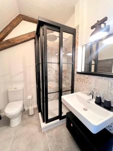 斯伽尔达Rezidence Wannas Self Check in的一间带水槽、淋浴和卫生间的浴室